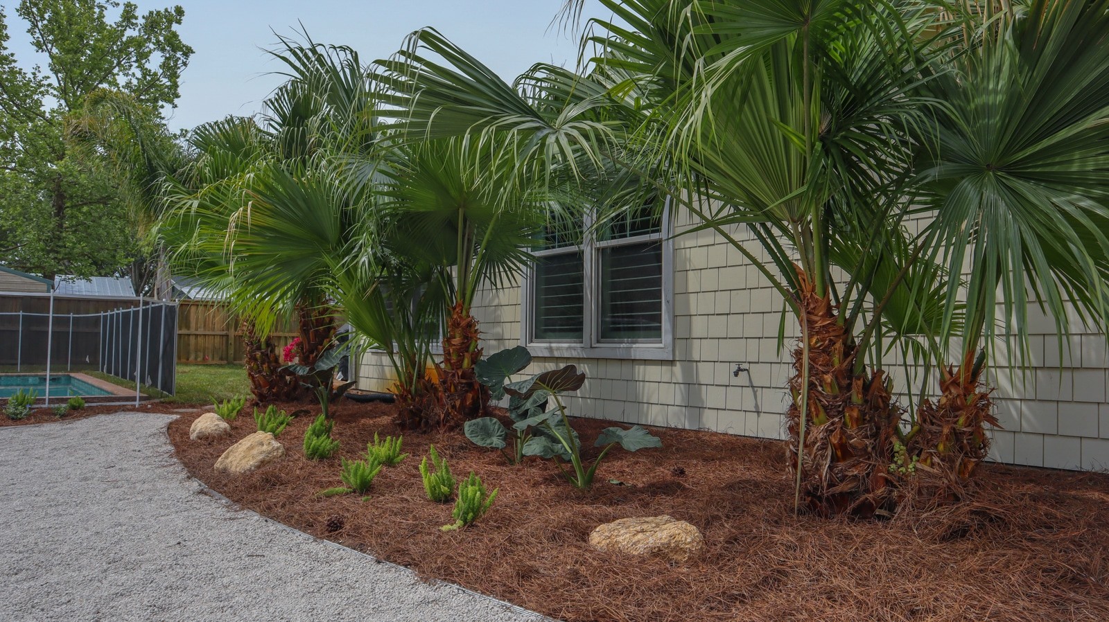 Pool Landscaping Ideas - Pearson residence - Atlantic Beach FL swimming pool landscaping design and hardscapes by Rockaway
