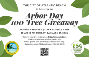 City of Atlantic Beach Arbor Day Tree Giveaway 2024