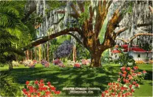 Oriental Gardens Jacksonville Florida Times Union
