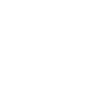 Initial Consultation Icon