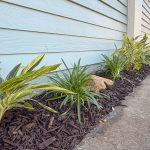 Winter-damaged yard refreshed with tropical plants in Sawgrass, Atlantic Beach, FL