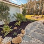Winter-damaged yard upgraded to a vibrant tropical landscape in Atlantic Beach, FL