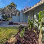 Tropical landscape upgrade replacing winter-damaged yard in Atlantic Beach, FL
