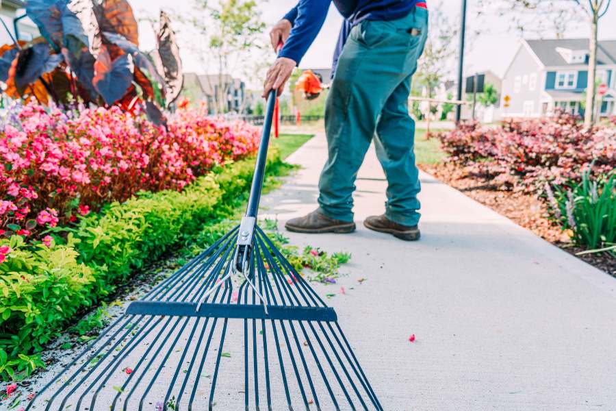 commercial-landscape-maintenance