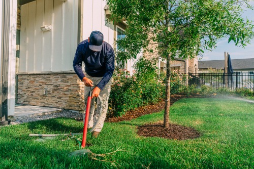 residential-landscape-maintenance