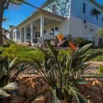 Fairway-focused backyard upgrade with tropical plants and stone landscaping in Atlantic Beach, FL