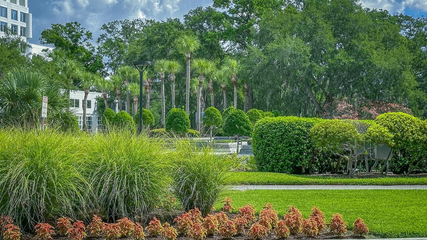 Tropical garden with ornamental plants and a neatly cut lawn in Florida.