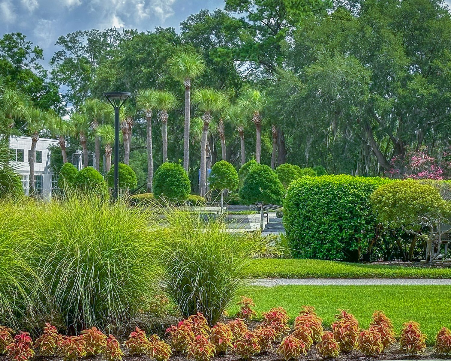 Mayo_clinic_jacksonville_0724_-89